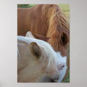 Liebe Poster (Vorne)