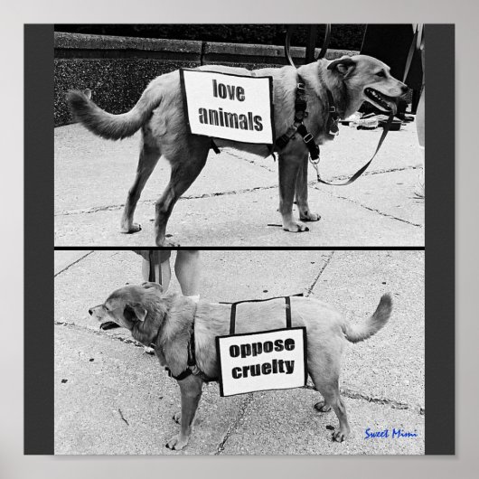 Liebe Poster (Vorne)