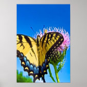 Liebe Poster (Vorne)