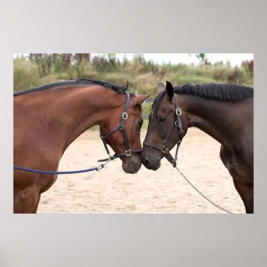 Liebe Poster (Vorne)