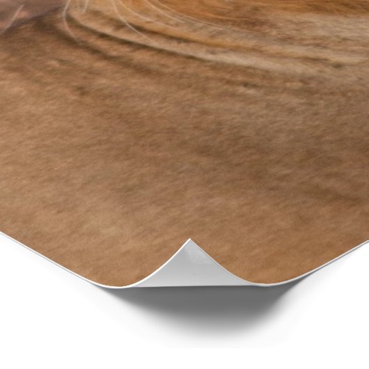 Liebe-Poster Poster (Ecke)