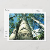 Liebe Postkarte (Vorne/Hinten)