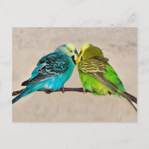 Liebe Postkarte
