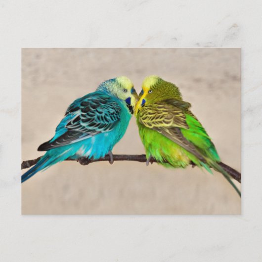 Liebe Postkarte (Vorderseite)
