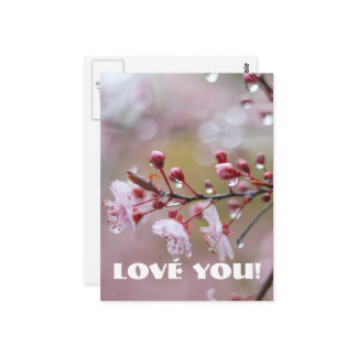 Liebe Postkarte