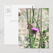 Liebe Postkarte (Vorne/Hinten)