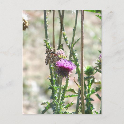 Liebe Postkarte (Vorderseite)