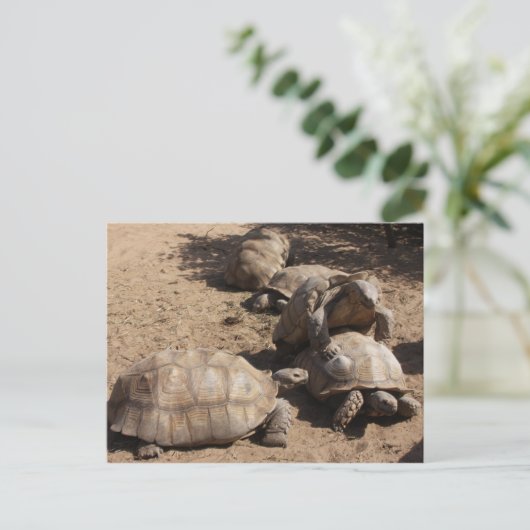 Liebe Postkarte (Stehend Vorderseite)