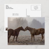 Liebe Postkarte (Vorne/Hinten)