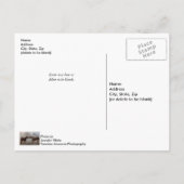 Liebe Postkarte (Rückseite)