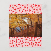 Liebe Postkarte (Vorderseite)