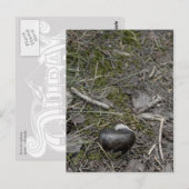 Liebe Postkarte (Vorne/Hinten)