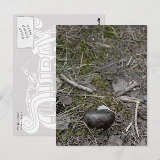 Liebe Postkarte (Vorne/Hinten)
