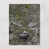 Liebe Postkarte (Vorderseite)