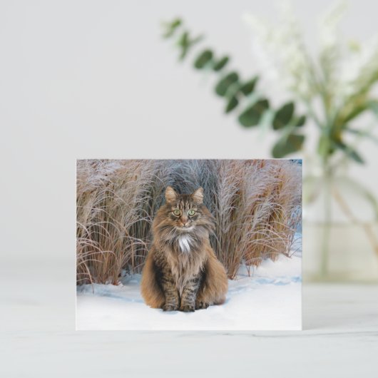 "Liebe" Postkarte (Stehend Vorderseite)