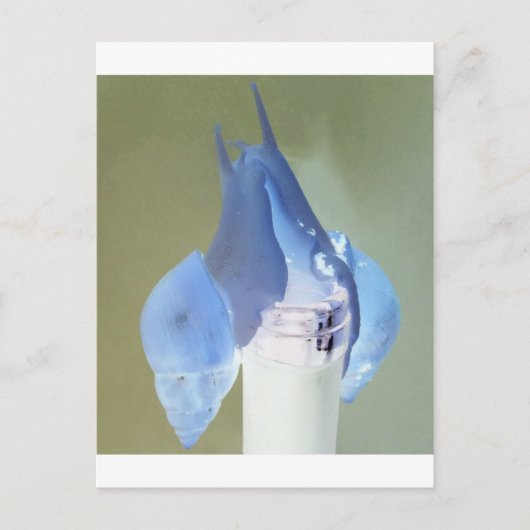 Liebe Postkarte (Vorderseite)