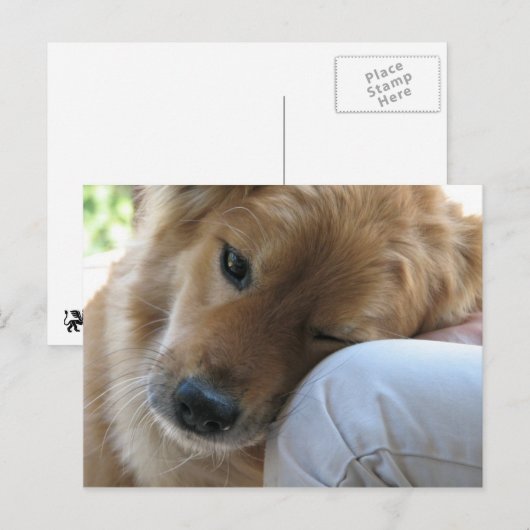 Liebe Postkarte (Vorne/Hinten)