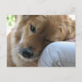 Liebe Postkarte (Vorderseite)