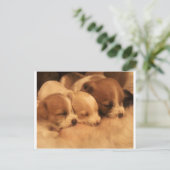 Liebe Postkarte (Stehend Vorderseite)