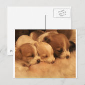 Liebe Postkarte (Vorne/Hinten)