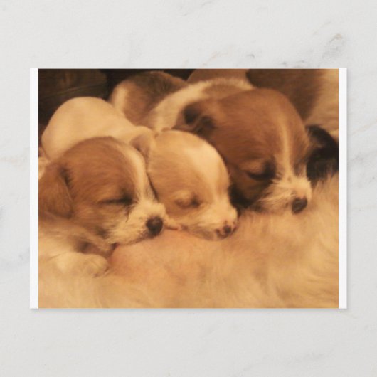 Liebe Postkarte (Vorderseite)