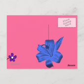 LIEBE POSTKARTE (Rückseite)