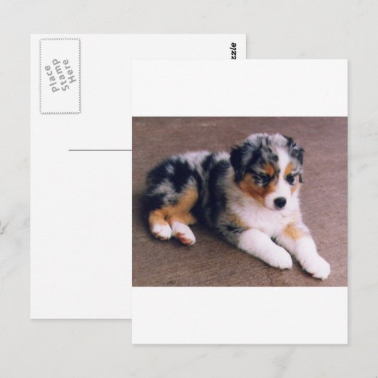 Liebe Postkarte (Vorne/Hinten)