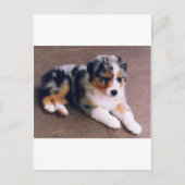 Liebe Postkarte (Vorderseite)