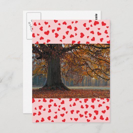 Liebe Postkarte (Vorne/Hinten)