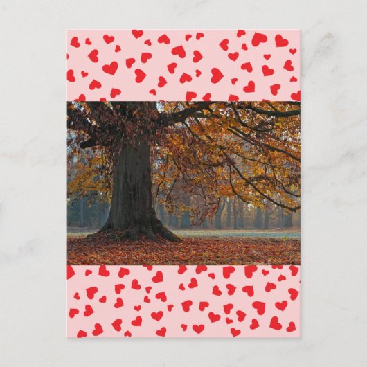 Liebe Postkarte (Vorderseite)