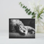 Liebe Postkarte (Stehend Vorderseite)