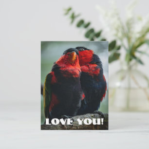 Liebe Postkarte