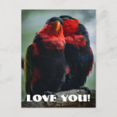 Liebe Postkarte (Vorderseite)