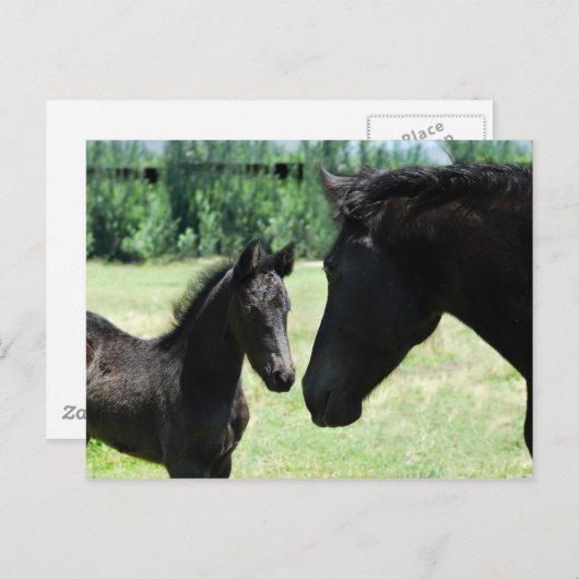 Liebe Postkarte (Vorne/Hinten)