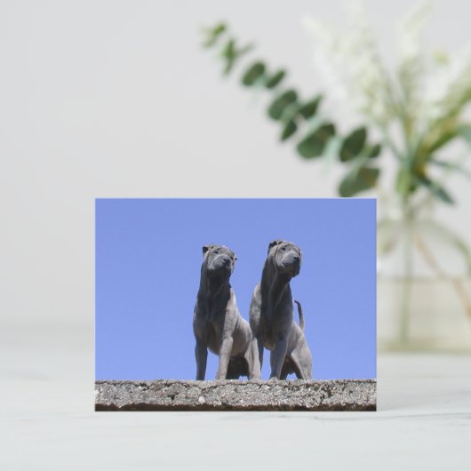 Liebe... Postkarte (Stehend Vorderseite)