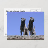 Liebe... Postkarte (Vorne/Hinten)