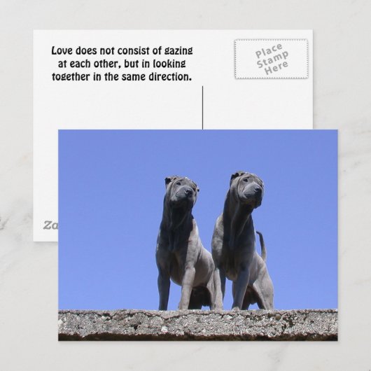 Liebe... Postkarte (Vorne/Hinten)