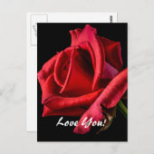 Liebe Postkarte (Vorne/Hinten)