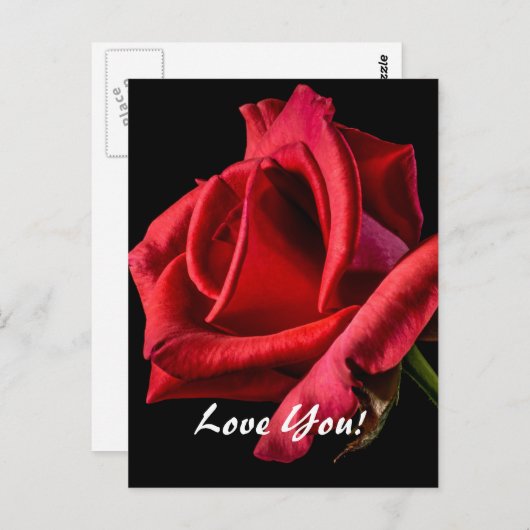 Liebe Postkarte (Vorne/Hinten)