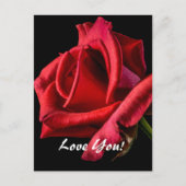 Liebe Postkarte (Vorderseite)