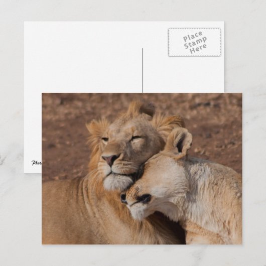 Liebe Postkarte (Vorne/Hinten)