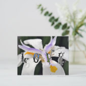 Liebe Postkarte (Stehend Vorderseite)