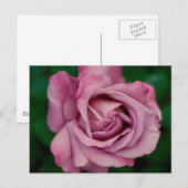 Liebe Postkarte (Vorne/Hinten)