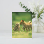 Liebe Postkarte (Stehend Vorderseite)