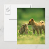 Liebe Postkarte (Vorne/Hinten)