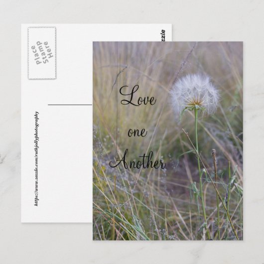 Liebe Postkarte (Vorne/Hinten)