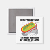 Liebe Prokaryos wichtigste Lebensformen der Erde Magnet (Vorderseite/Rückseite)