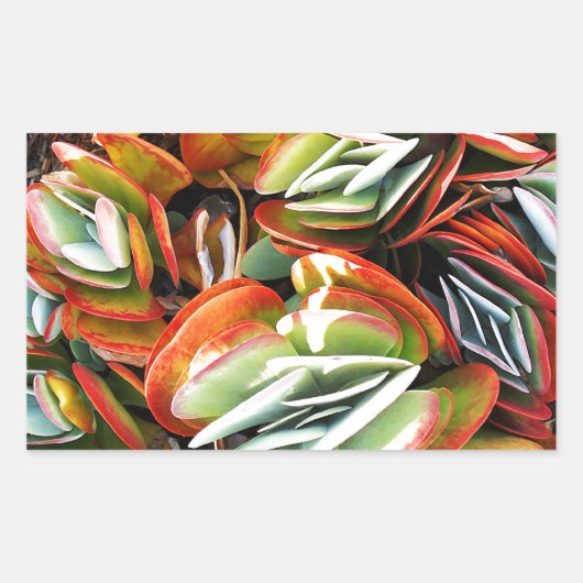 Liebe_ Rechteckiger Aufkleber (Vorderseite)