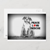Liebe rettet Hund Postkarte (Vorne/Hinten)
