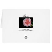 Liebe Rose (Rückseite Horizontal)